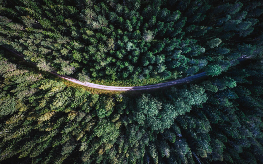 Photograph of ESG: Is Governance the poor relation?